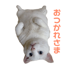はるなつあきふゆ2
