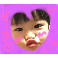 [LINEスタンプ] 日常こーたん