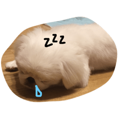 [LINEスタンプ] ましゅまろペキ