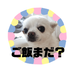 [LINEスタンプ] ワンダフルな毎日