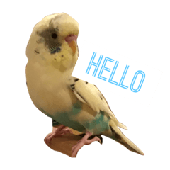 [LINEスタンプ] 喋るインコその1