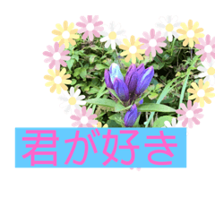 [LINEスタンプ] 自然の一コマ1