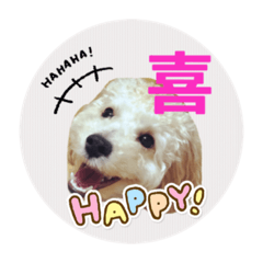 [LINEスタンプ] Raimuという名の犬3