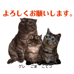 [LINEスタンプ] 短足兄妹2