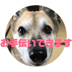 [LINEスタンプ] ナッツスタンプ⑦