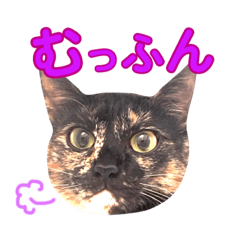 ねこすた・サビ猫バージョン