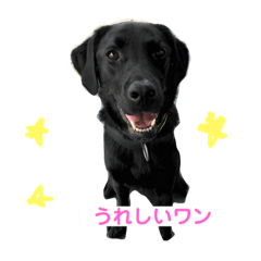[LINEスタンプ] 藤野メイちゃん
