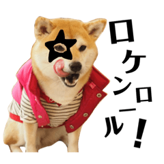 [LINEスタンプ] 柴犬マコと、 マニアック