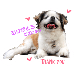 [LINEスタンプ] ミルは犬です。