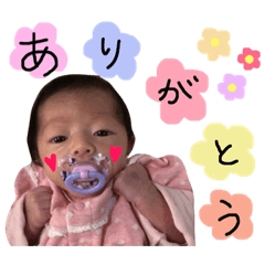 [LINEスタンプ] らんちゃんのスタンプ❤︎