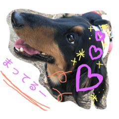 [LINEスタンプ] 愉快な仲間たちーず