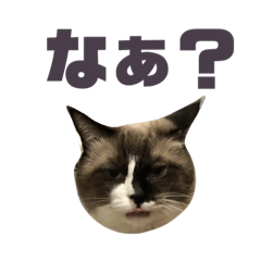 [LINEスタンプ] 宮猫ミュー太2