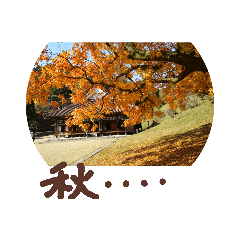 [LINEスタンプ] 気ままに遊んでいます