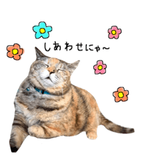 [LINEスタンプ] ねこチャッピー