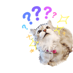 [LINEスタンプ] らむべりシリーズ