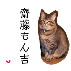 [LINEスタンプ] もん吉 4