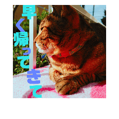 [LINEスタンプ] ちょん太のスタンプ2