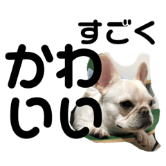 [LINEスタンプ] フレブルくるみ