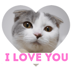[LINEスタンプ] ノルスコテト♡②