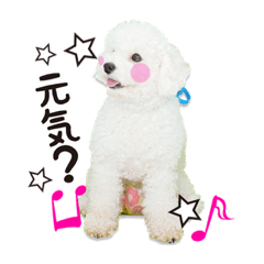 [LINEスタンプ] こぶた＆おーじ(メッセージ1)