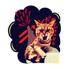 [LINEスタンプ] 捨て猫様を拾ったらアタシ幸せになったよ★