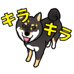 [LINEスタンプ] 動く黒豆柴の姫ちゃん