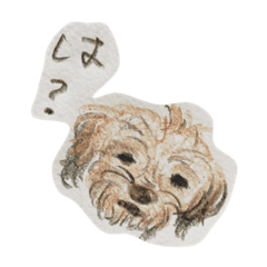 [LINEスタンプ] 犬のせんぱい ボーダーテリア