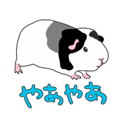 [LINEスタンプ] テディモルモットのこいしちゃん①