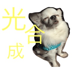 [LINEスタンプ] 痔様