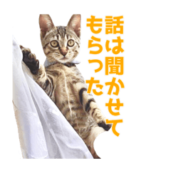 [LINEスタンプ] うちの猫、時々犬