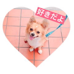 [LINEスタンプ] お試しチャッピー❤️