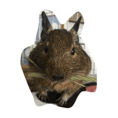 [LINEスタンプ] まいにちデグデグ