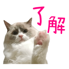 [LINEスタンプ] ベル ②