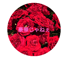 [LINEスタンプ] 薔薇の香りがする広島弁の画像（メイン）