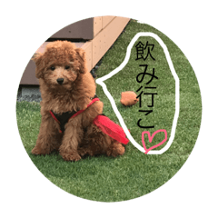 [LINEスタンプ] わんこ大集合