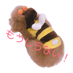 [LINEスタンプ] ひめちゃんスタンプ2