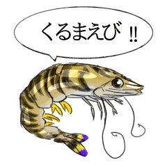 [LINEスタンプ] 海の生き物スタンプ くるまえび ！！