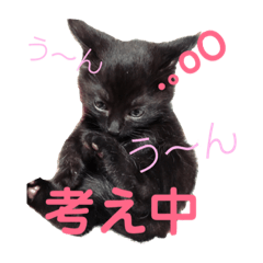 [LINEスタンプ] ふぅくぅスタンプ