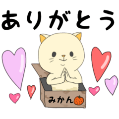 おもにねこ