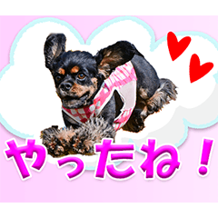 [LINEスタンプ] メリアとアキレウス