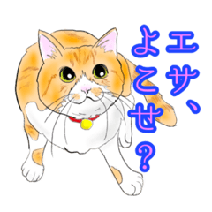 [LINEスタンプ] ぼくは、ちゃも