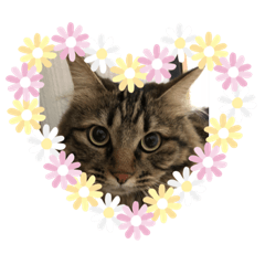 [LINEスタンプ] れんたろうさん