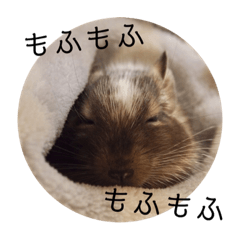 [LINEスタンプ] ちょろスタンプ