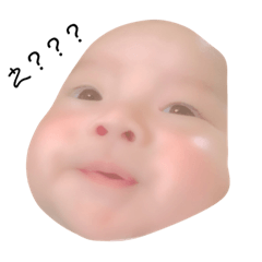 [LINEスタンプ] かいせいスタンプだよ