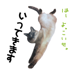 [LINEスタンプ] うちのはんさん
