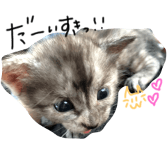 [LINEスタンプ] pinoちゃん