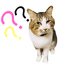 [LINEスタンプ] ポンとルビー