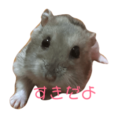[LINEスタンプ] 空ちゃんスタンプ♡