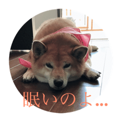 [LINEスタンプ] きなこ、もなかモデルスタンプ
