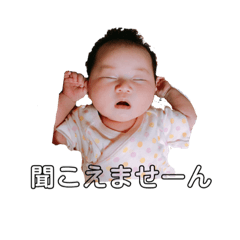 [LINEスタンプ] こゆたんだいすき♡